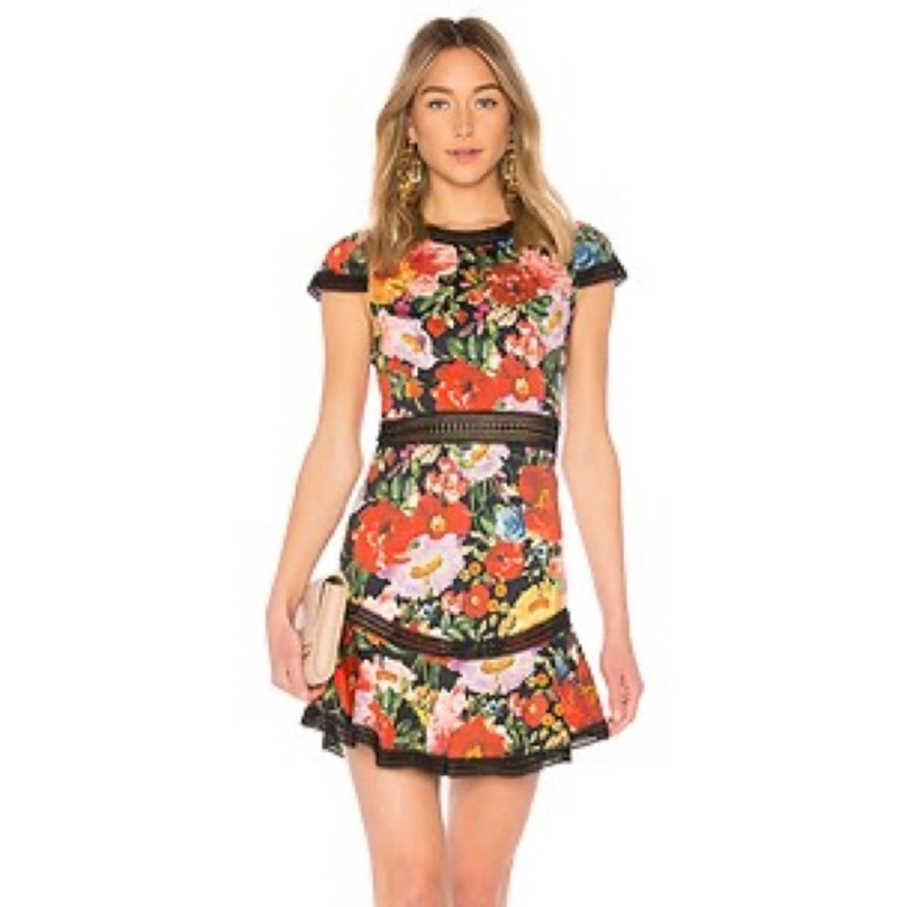 ALICE and OLIVIA Rapunzel Dress In Blooming Garden. Size 4.